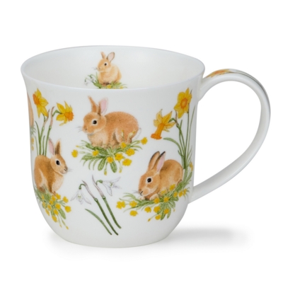 CU-BUNN-XX