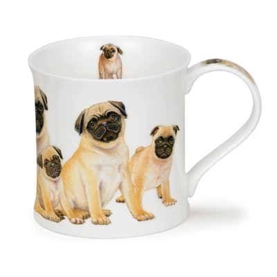 Designer Dogs