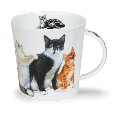 CAIR CATS & KITTENS B&W