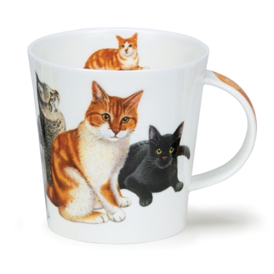 CAIR CATS & KITTENS GINGER