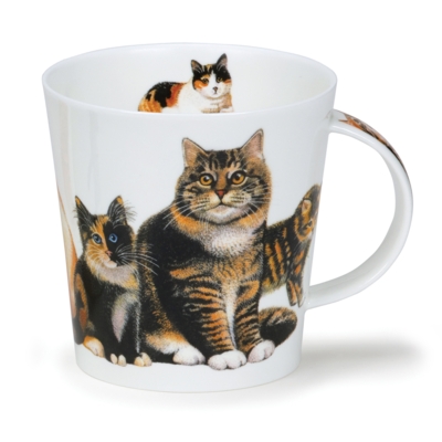 CAIR CATS & KITTENS TABBY