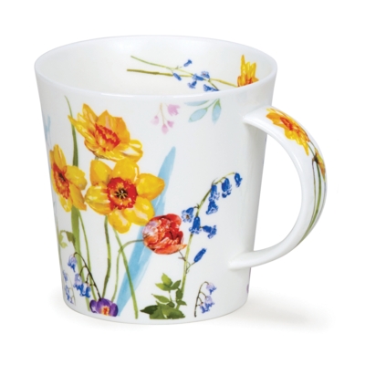 CAIR COUNTRY GDEN DAFFODIL