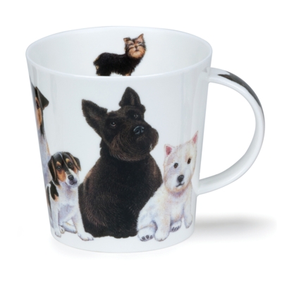 CAIR DOGS & PUPPIES SCOTTIE