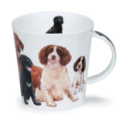 CAIR DOGS & PUPPIES SPANIEL