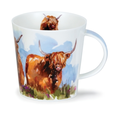 CAIR HIGHLAND COWS