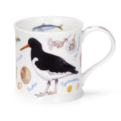 WESS SEA LIFE OYSTERCATCHER