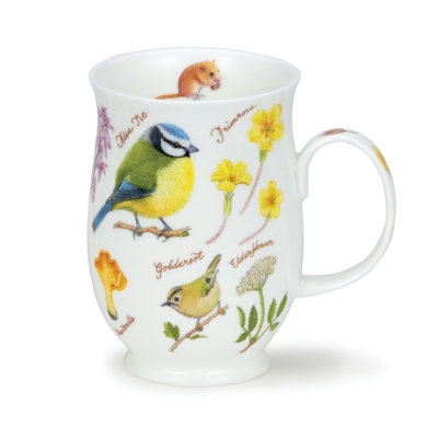 SUFF WOODLAND BLUETIT