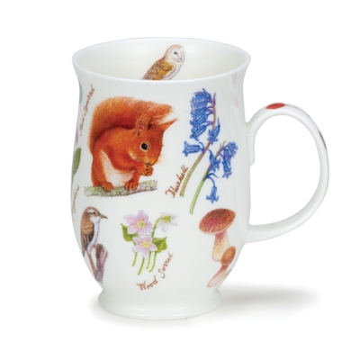 SUFF WOODLAND SQUIRREL