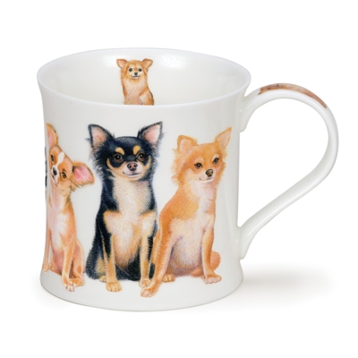 WESS D DOGS CHIHUAHUA