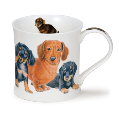 WESS D DOGS DACHSHUNDS