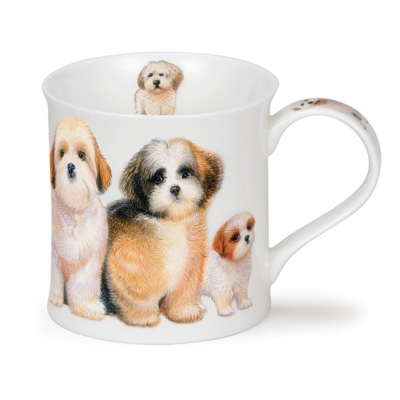 WESS D DOGS SHIHTZUS