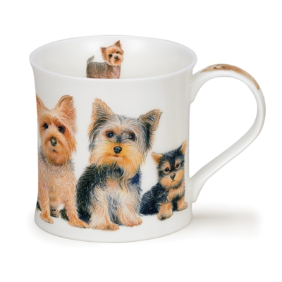WESS D DOGS YORKSHIRE TERR