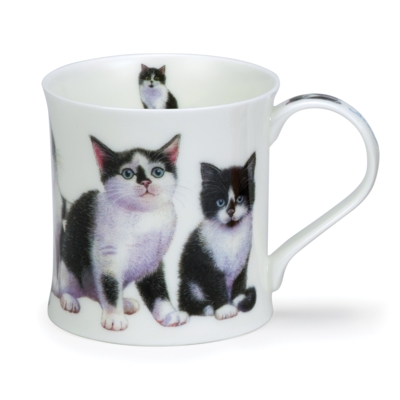 WESS KITTENS BLACK/WHITE