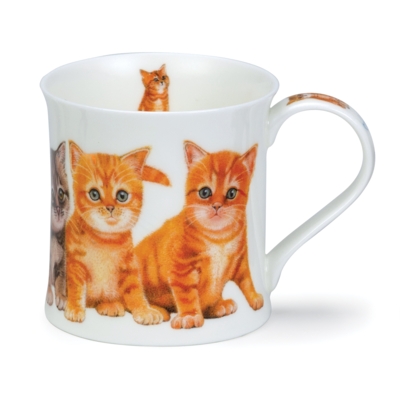 WESS KITTENS GINGER