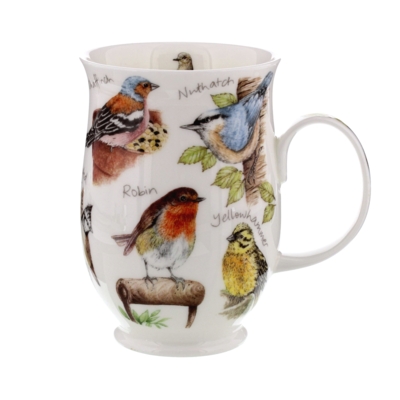 SUFF BIRDLIFE ROBIN