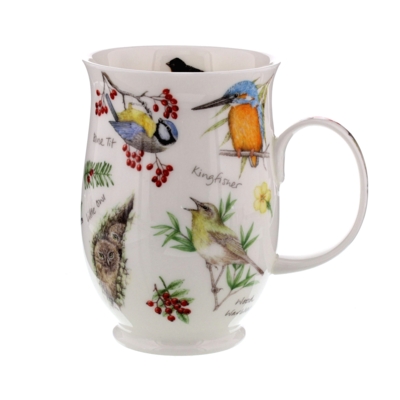 SUFF DAWN SONG BLUE TIT
