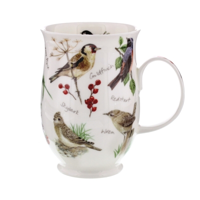 SUFF DAWN SONG GOLDFINCH