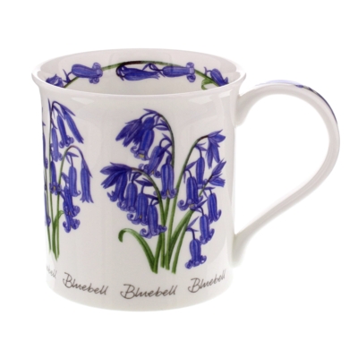 BUTE SPRING FLOWERS BLUEBELL