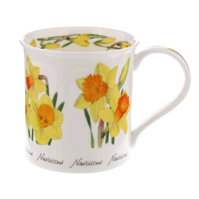 BUTE SPRING FLOWERS DAFFODIL