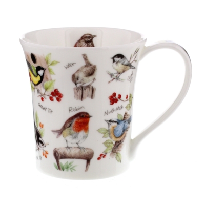 JURA BIRDLIFE ROBIN