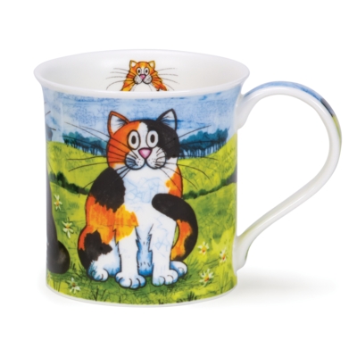 BUTE COMICAL CATS TOR/SHELL