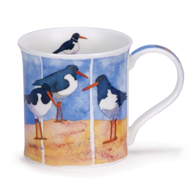 BUTE SHORE BIRDS OYSTERCATCHER