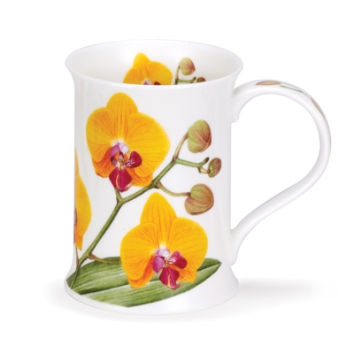 COTS ORCHIDACEAE YELLOW
