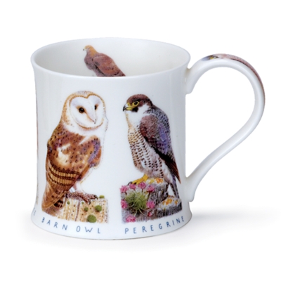WESS C WILDLIFE OWL
