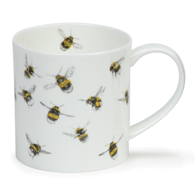 ORKNEY H LONGMUIR COLL BEE