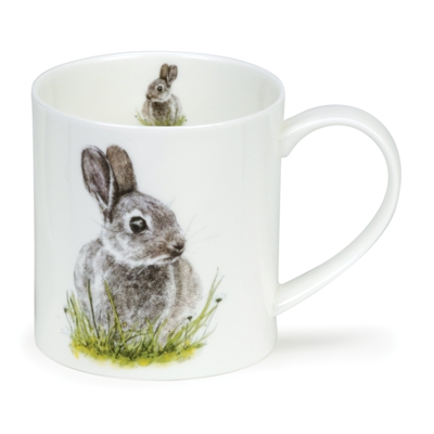 ORKNEY H LONGMUIR COLL BUNNY