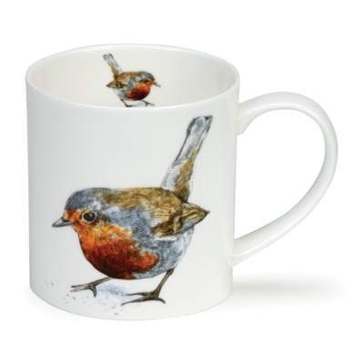 ORKNEY H LONGMUIR COLL ROBIN