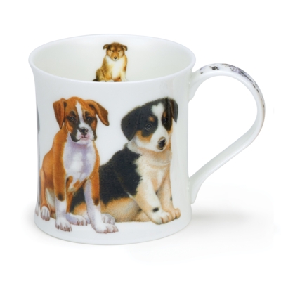 WESS PUPPIES BOXER