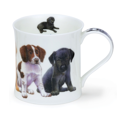 WESS PUPPIES SPRINGER