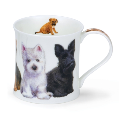 WESS PUPPIES WESTIE