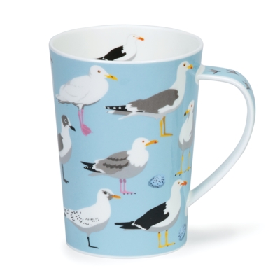 ARGYLL BIRD WORLD SEAGULLS