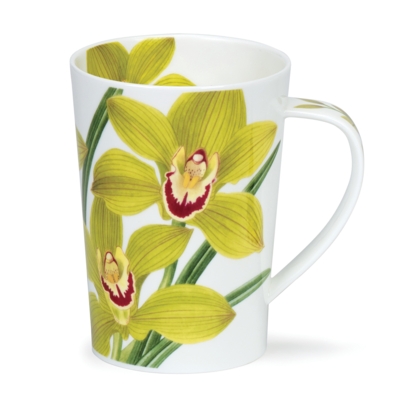 ARGYLL ORCHIDS GREEN
