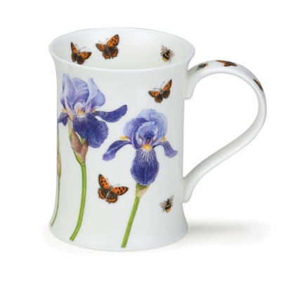 COTS FLORAL STUDIES IRIS