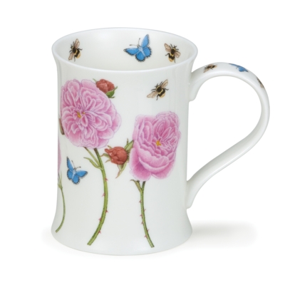 COTS FLORAL STUDIES ROSE