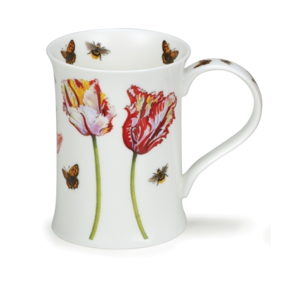 COTS FLORAL STUDIES TULIP