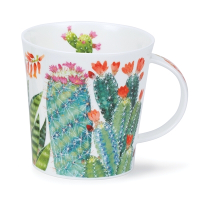 CAIR CACTI MULTI