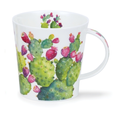 CAIR CACTI SINGLE