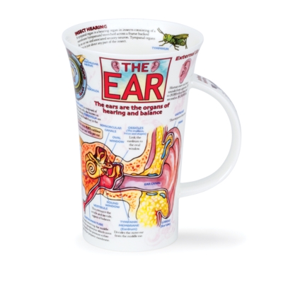 GLEN THE EAR