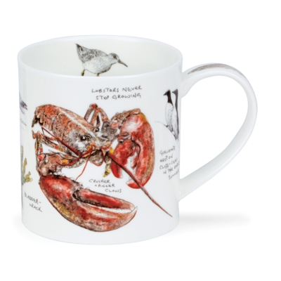 ORKNEY SEASIDE NOTEBOOK LOBSTE