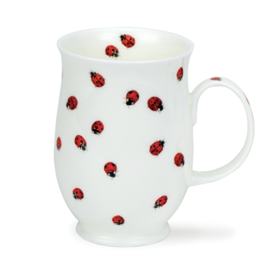 SUFF BUGS LADYBIRD