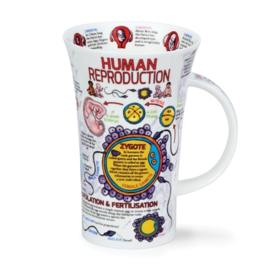 GLEN HUMAN REPRODUCTION