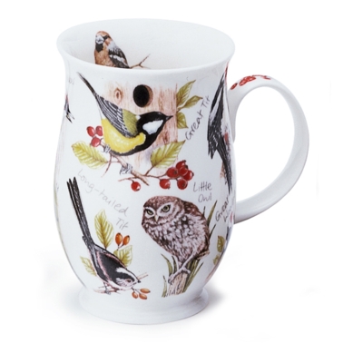 Birdlife