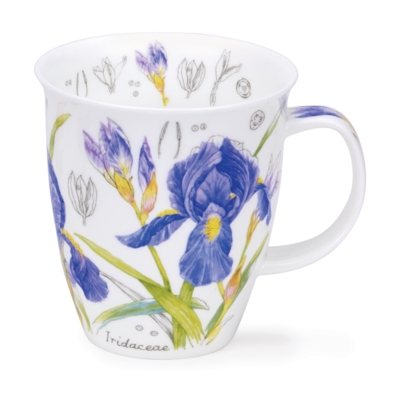 NEVIS FLORAL SKETCH IRIS
