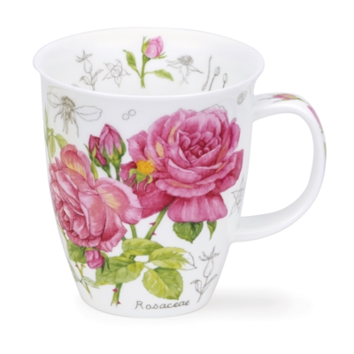 NEVIS FLORAL SKETCH ROSE