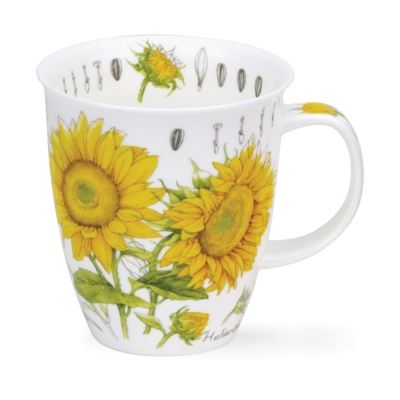 NEVIS FLORAL SKETCH SUNFLOWER