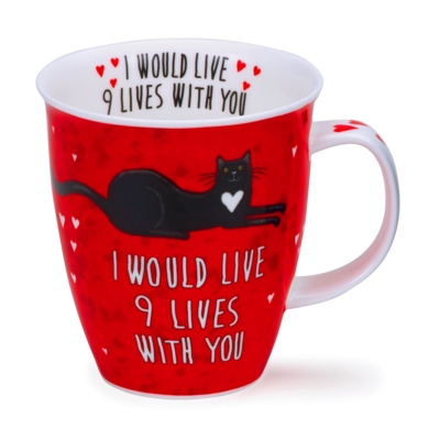 NEVIS LOVED UP CAT